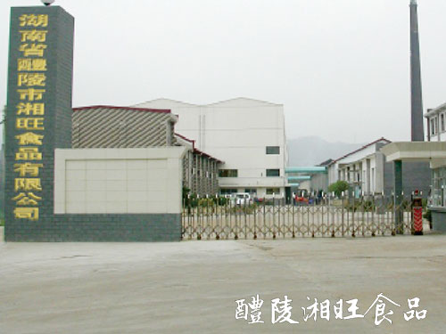公司大门